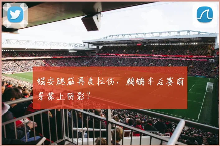 锡安腿筋再度拉伤，鹈鹕季后赛前景蒙上阴影？