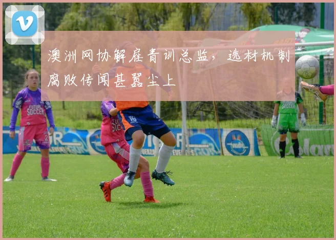 澳洲网协解雇青训总监,选材机制腐败传闻甚嚣尘上