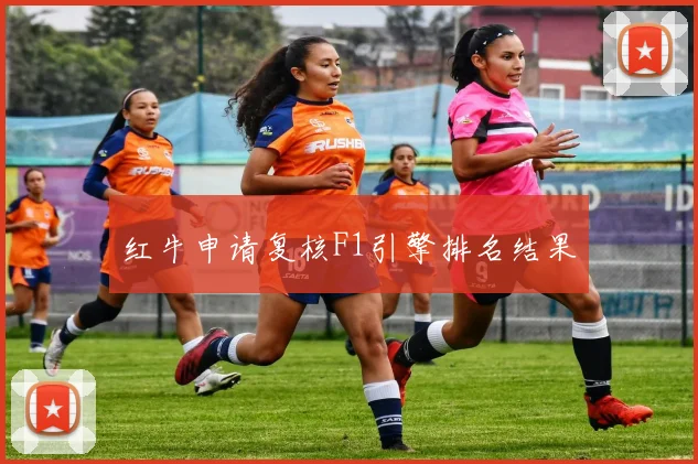 红牛申请复核F1引擎排名结果